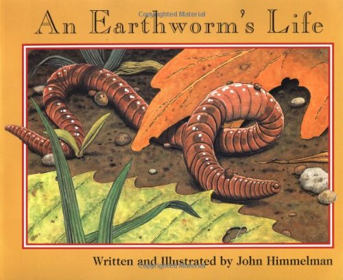 earthworm