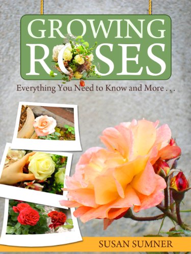 growing-and-planting-roses