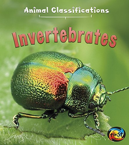 Invertebrate Animals - Nature Kingdoms