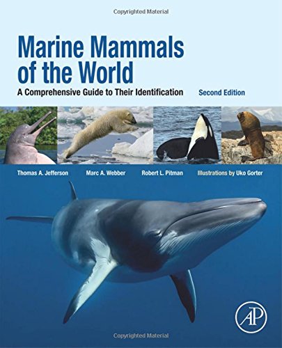 marine-mammals