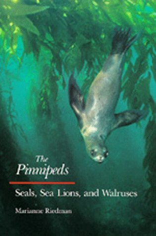 pinnipeds