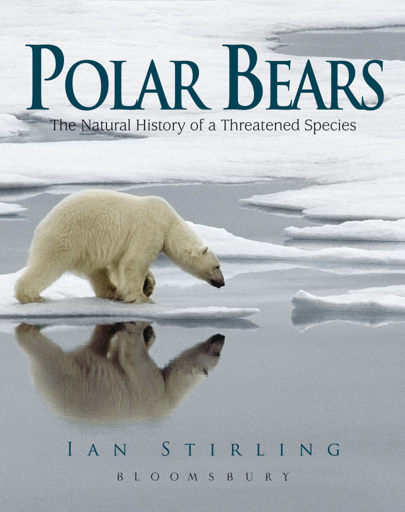 polar-bears