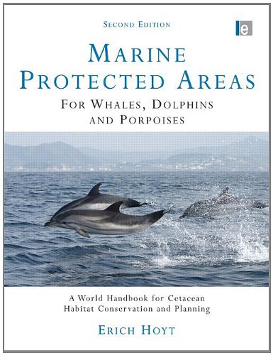 whales-dolphins-and-porpoises