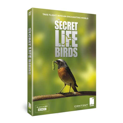 birds-secrets