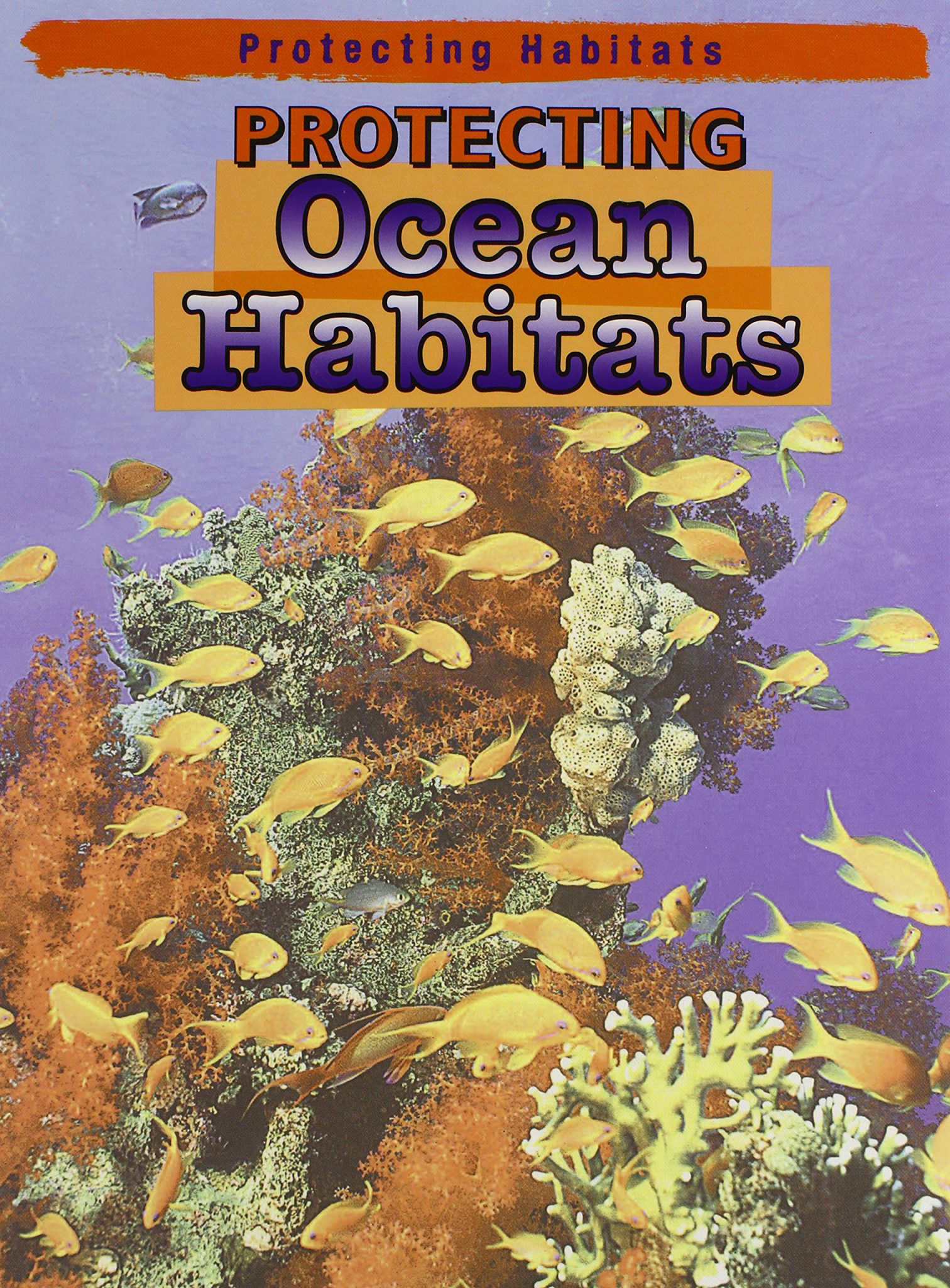 Marine Habitats Nature Kingdoms