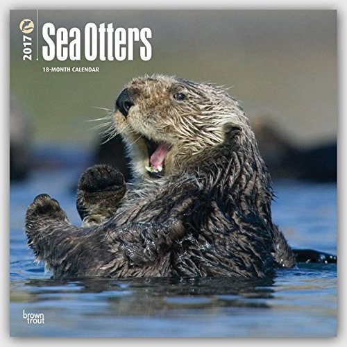 sea-otter