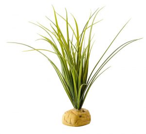 turtle-grass