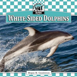 atlantic-white-sided-dolphin