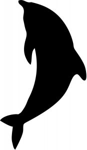 black-dolphin