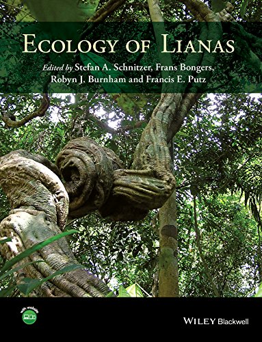 lianas