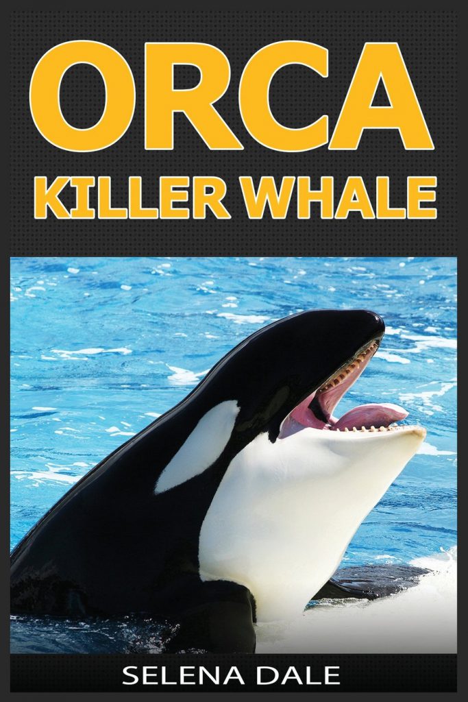 orcas-killer-whale