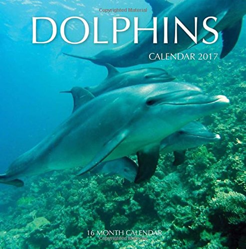 dolphin-calender