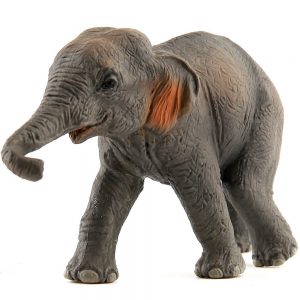 asian-elephant