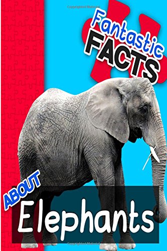 fun-facts-about-elephants