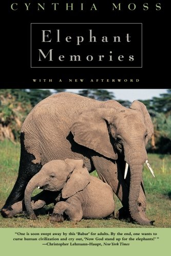 elephants-memory